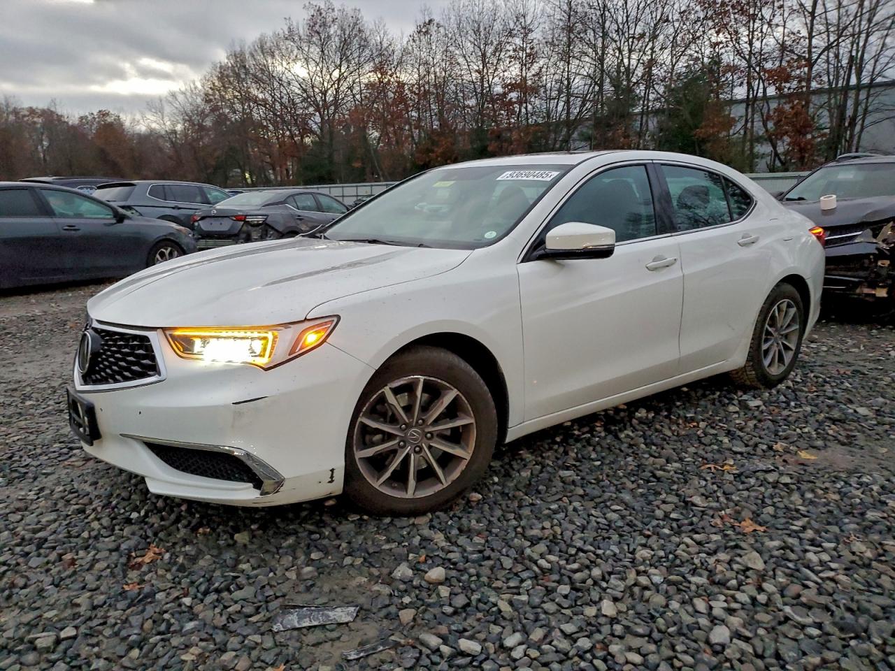 2019 Acura TLX