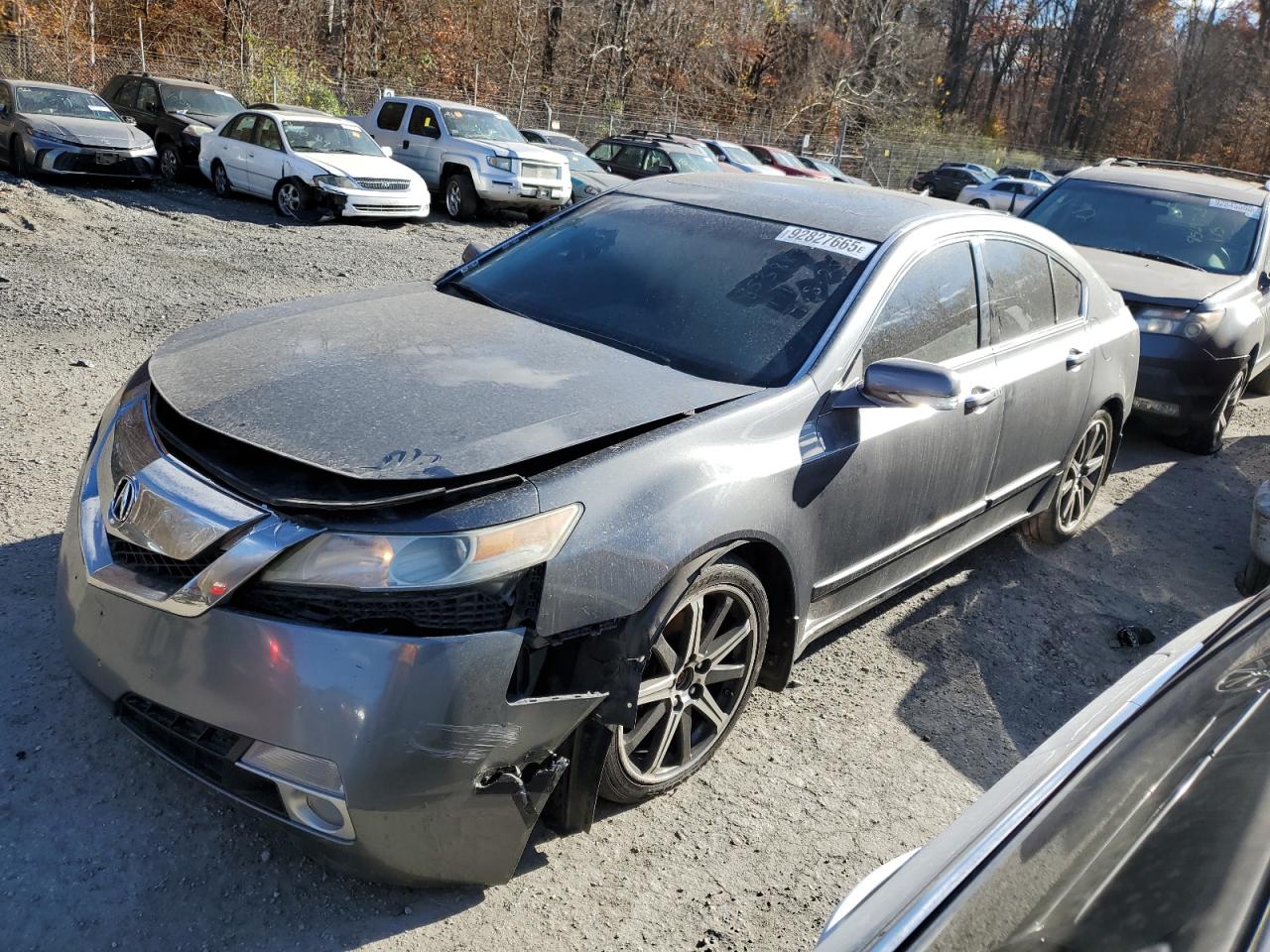 2010 Acura TL
