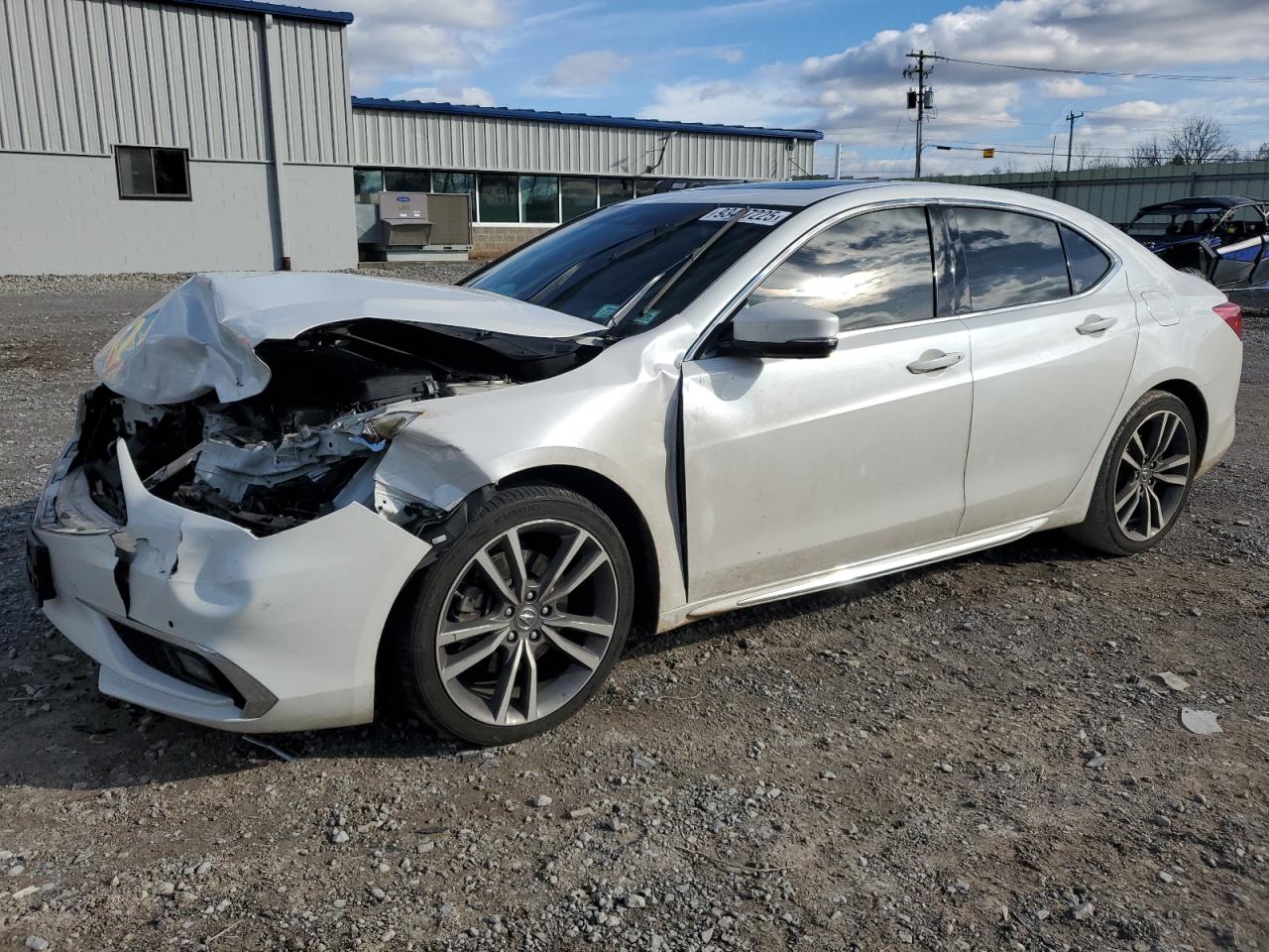 2019 Acura TLX