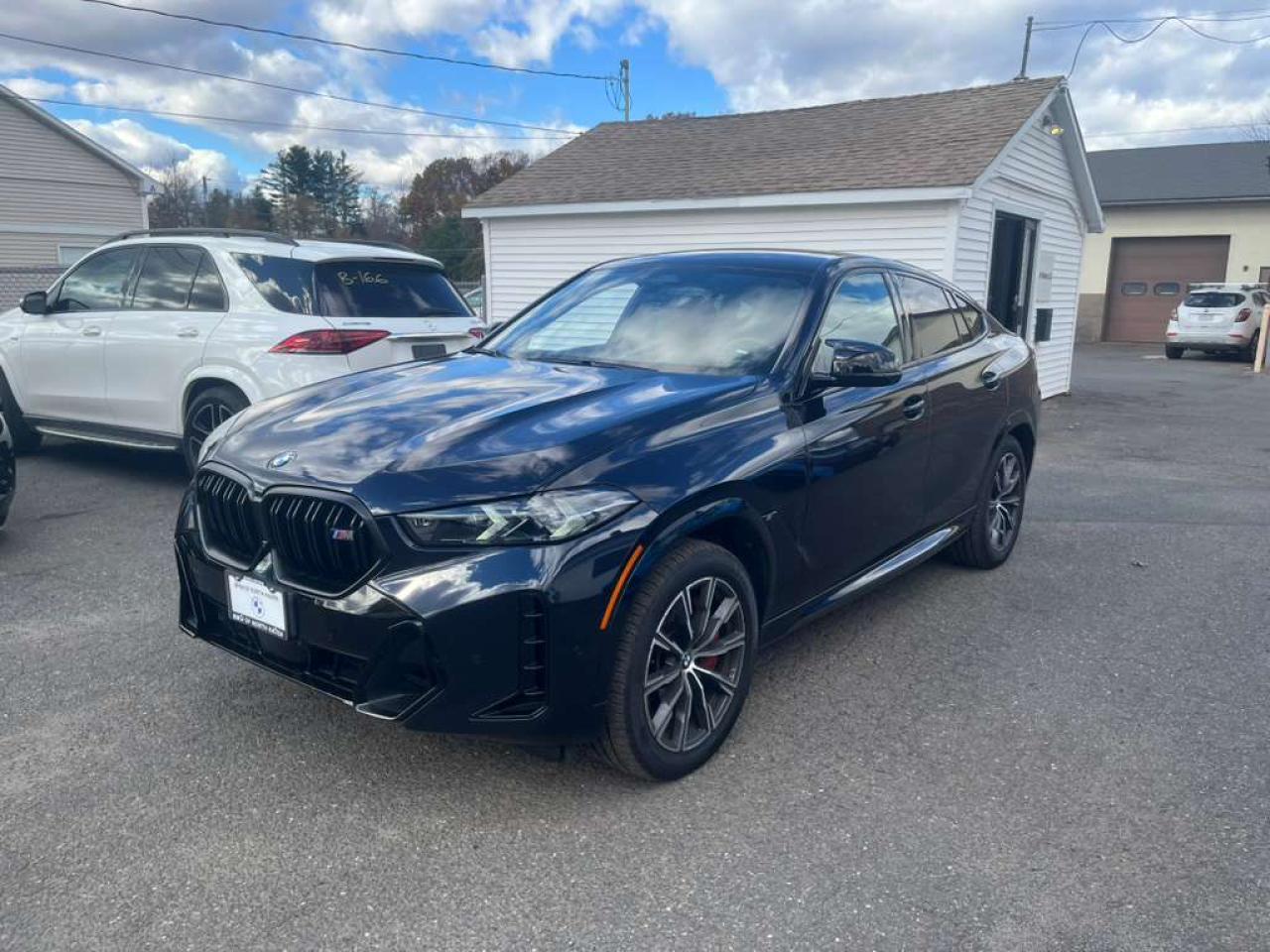 2024 BMW X6