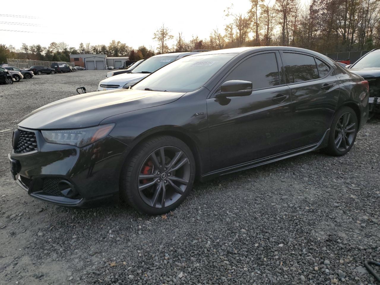 2019 Acura TLX