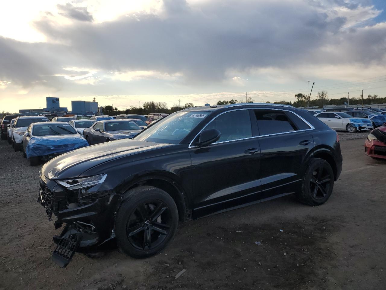 2019 Audi Q8