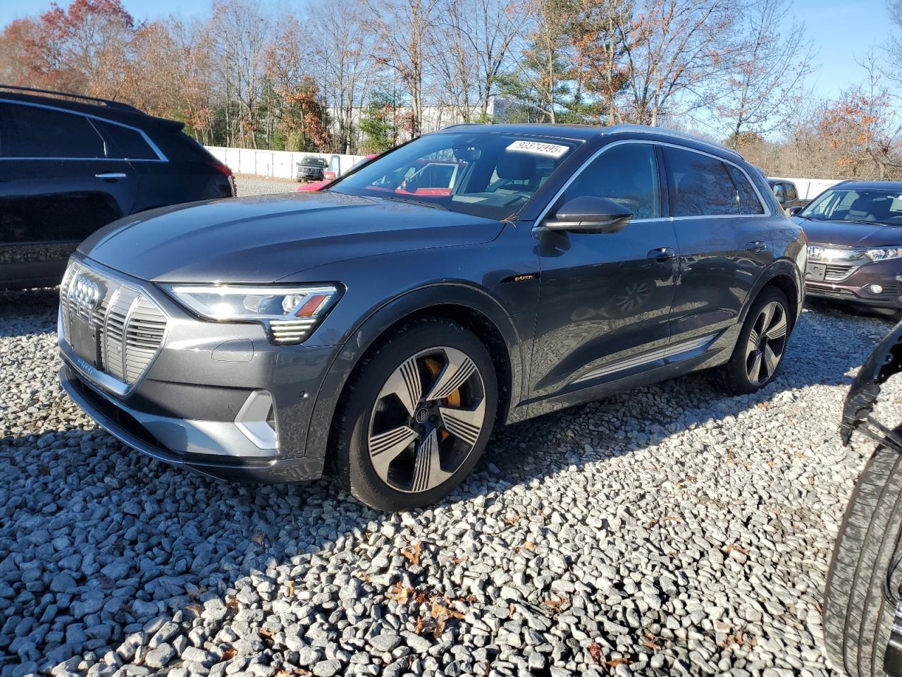 2019 Audi e-tron