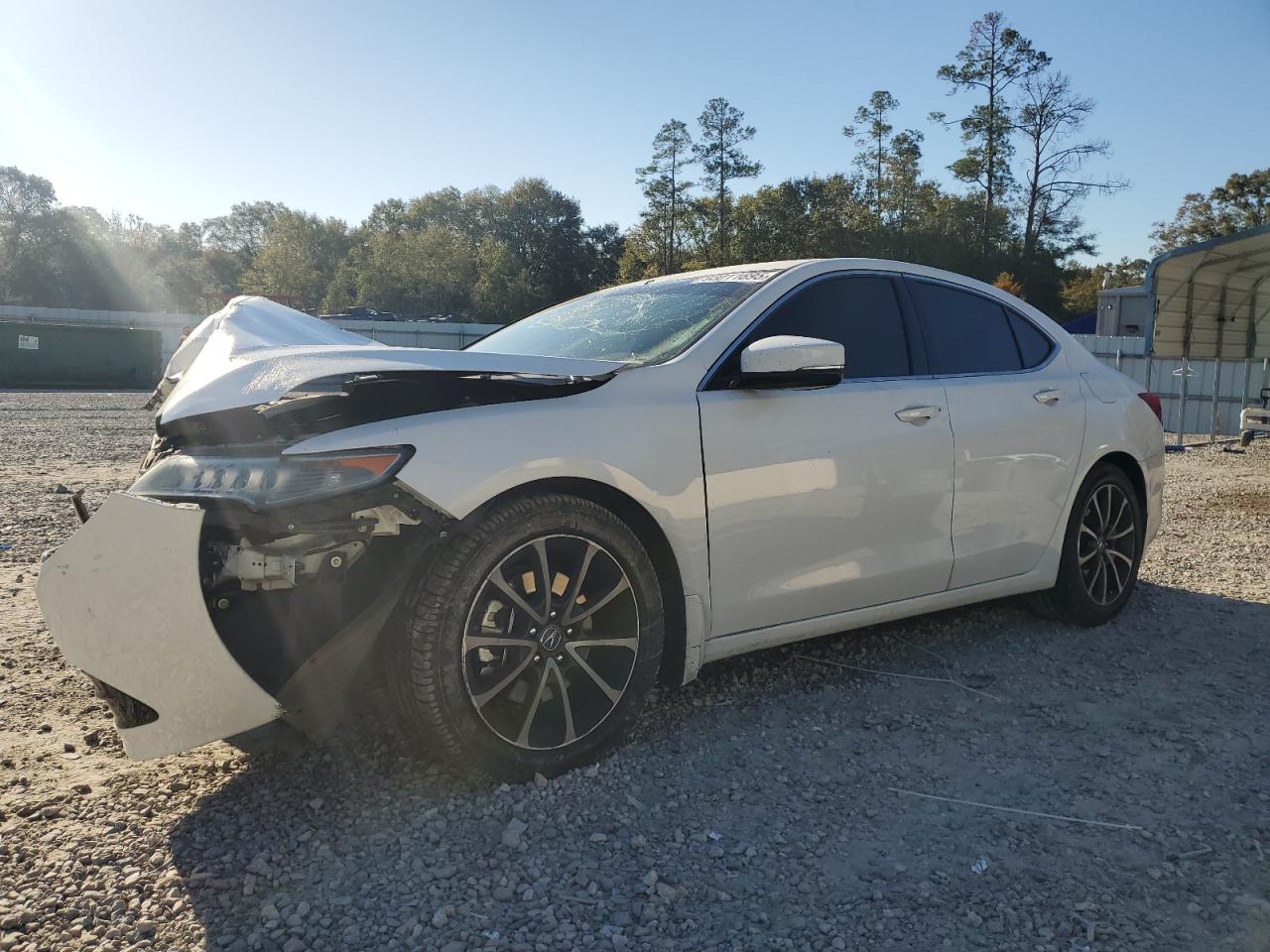 2015 Acura TLX