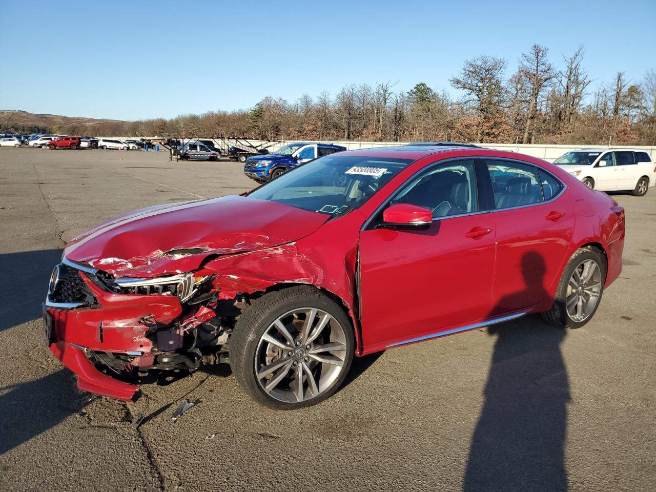 2019 Acura TLX