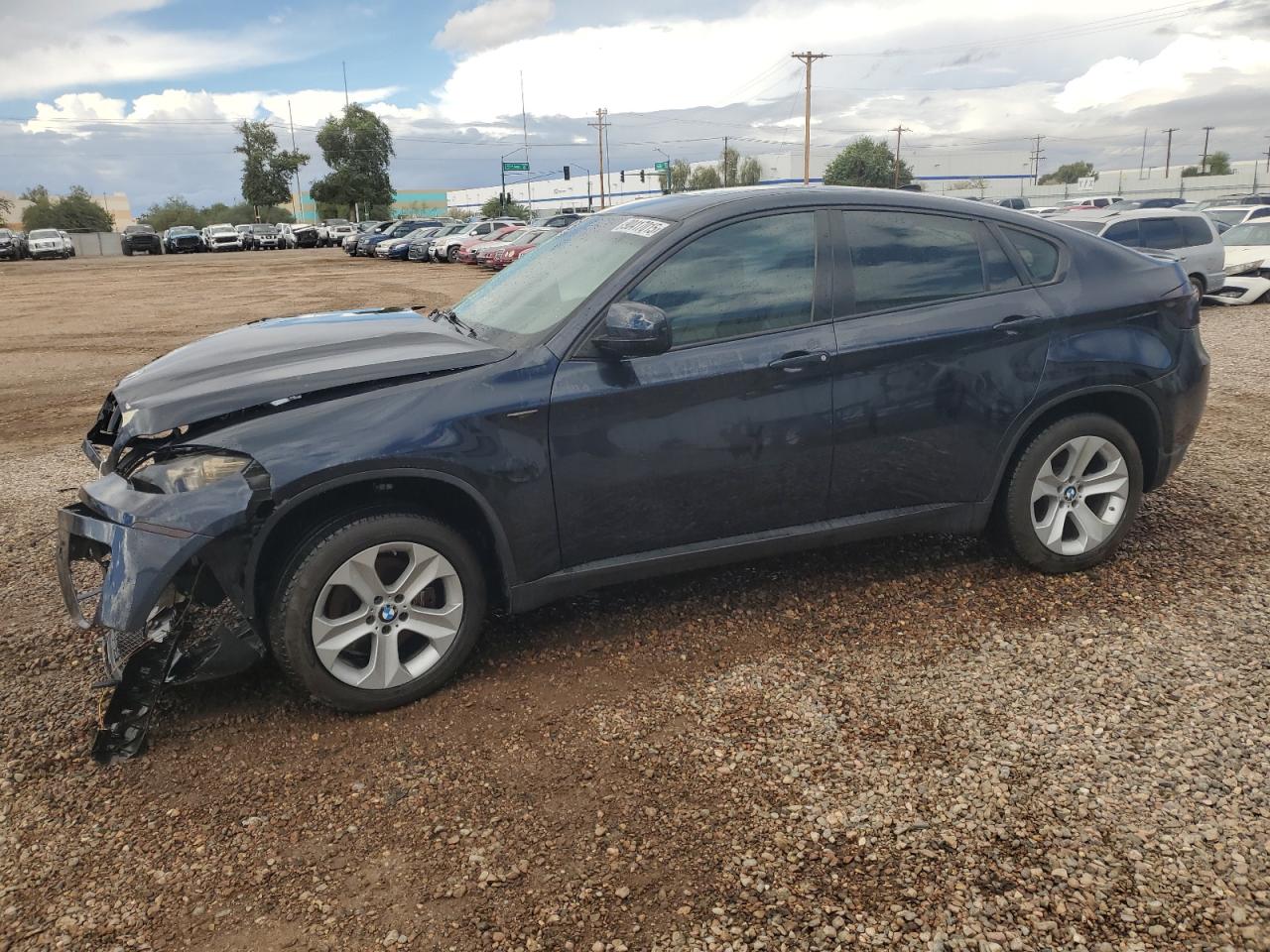 2010 BMW X6