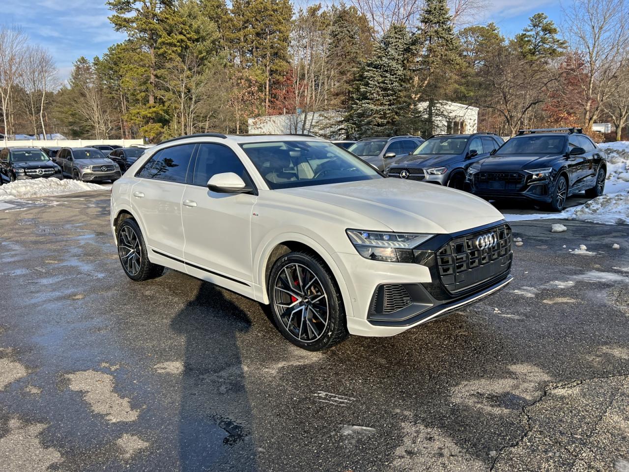 2019 Audi Q8