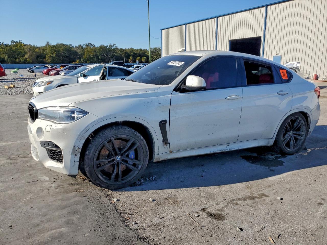 2019 BMW X6