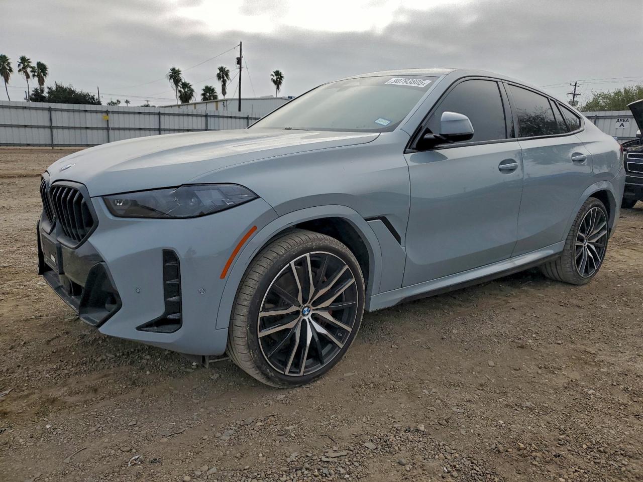 2025 BMW X6