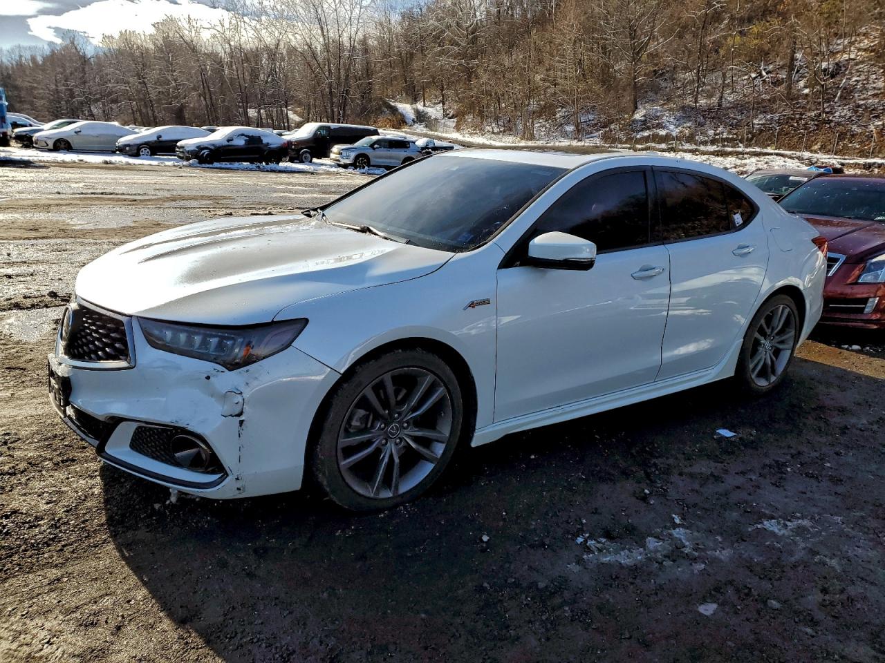 2019 Acura TLX
