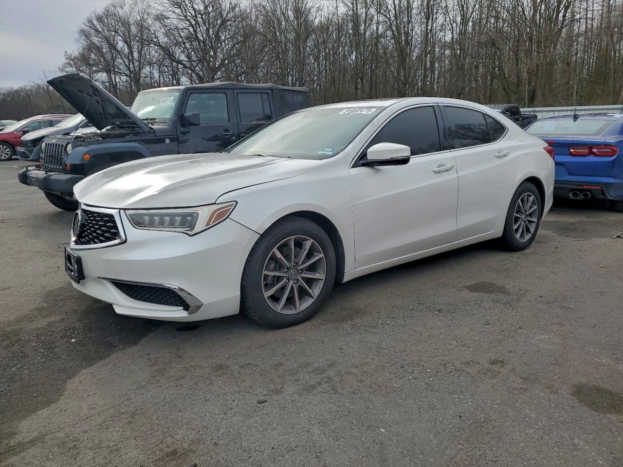 2019 Acura TLX