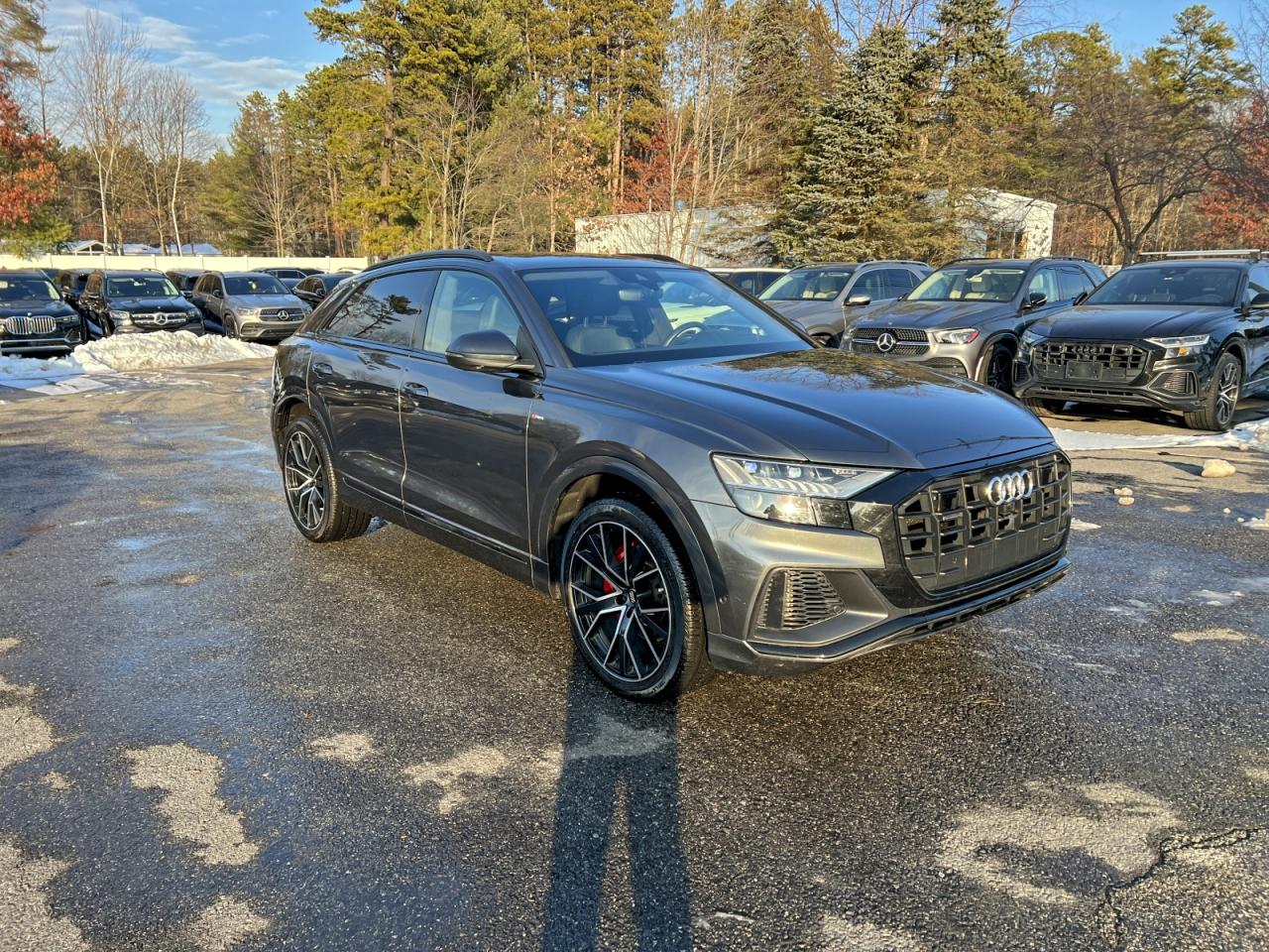 2019 Audi Q8