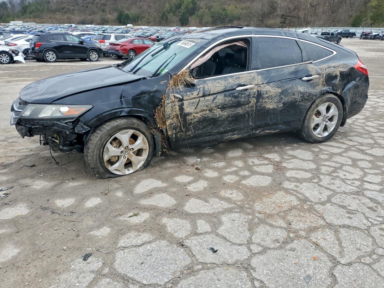 Honda Crosstour