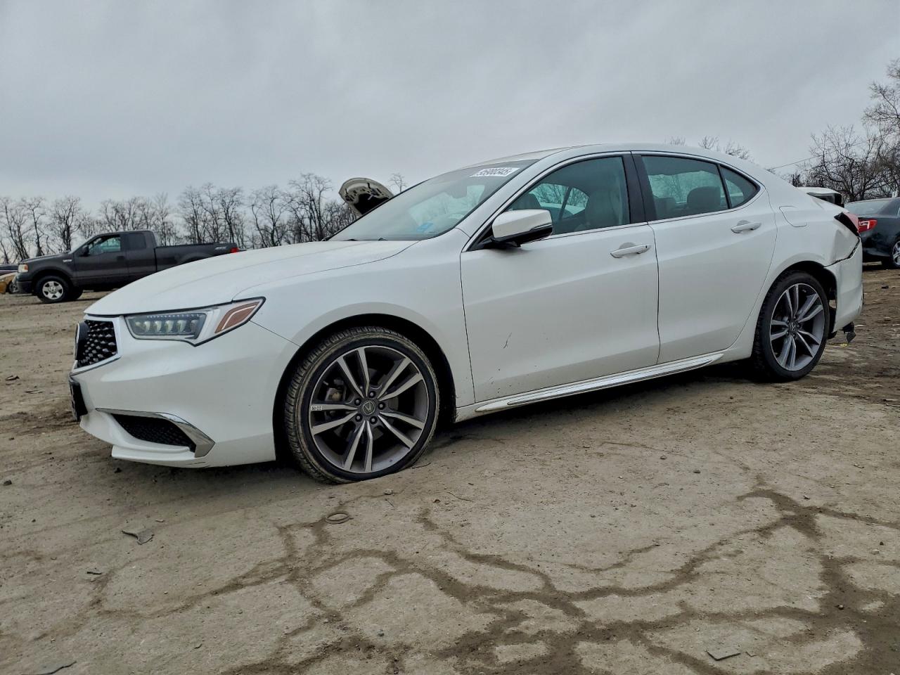 2019 Acura TLX