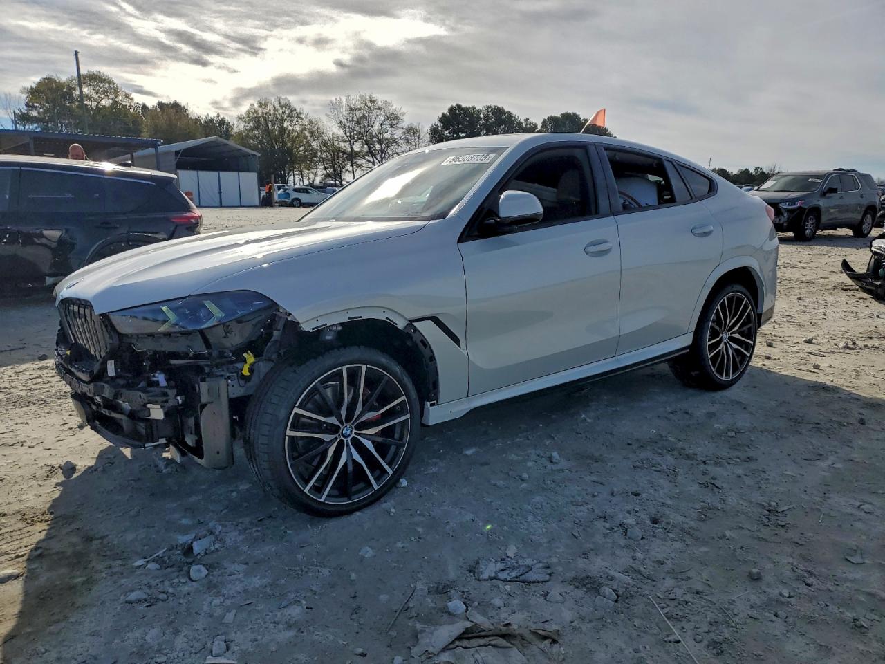 2026 BMW X6