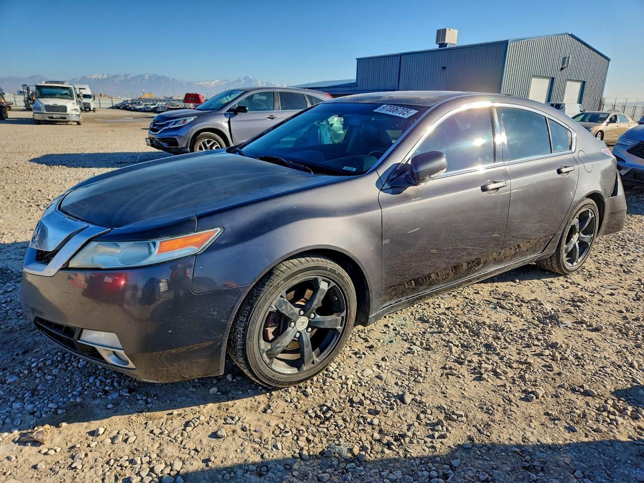2009 Acura TL