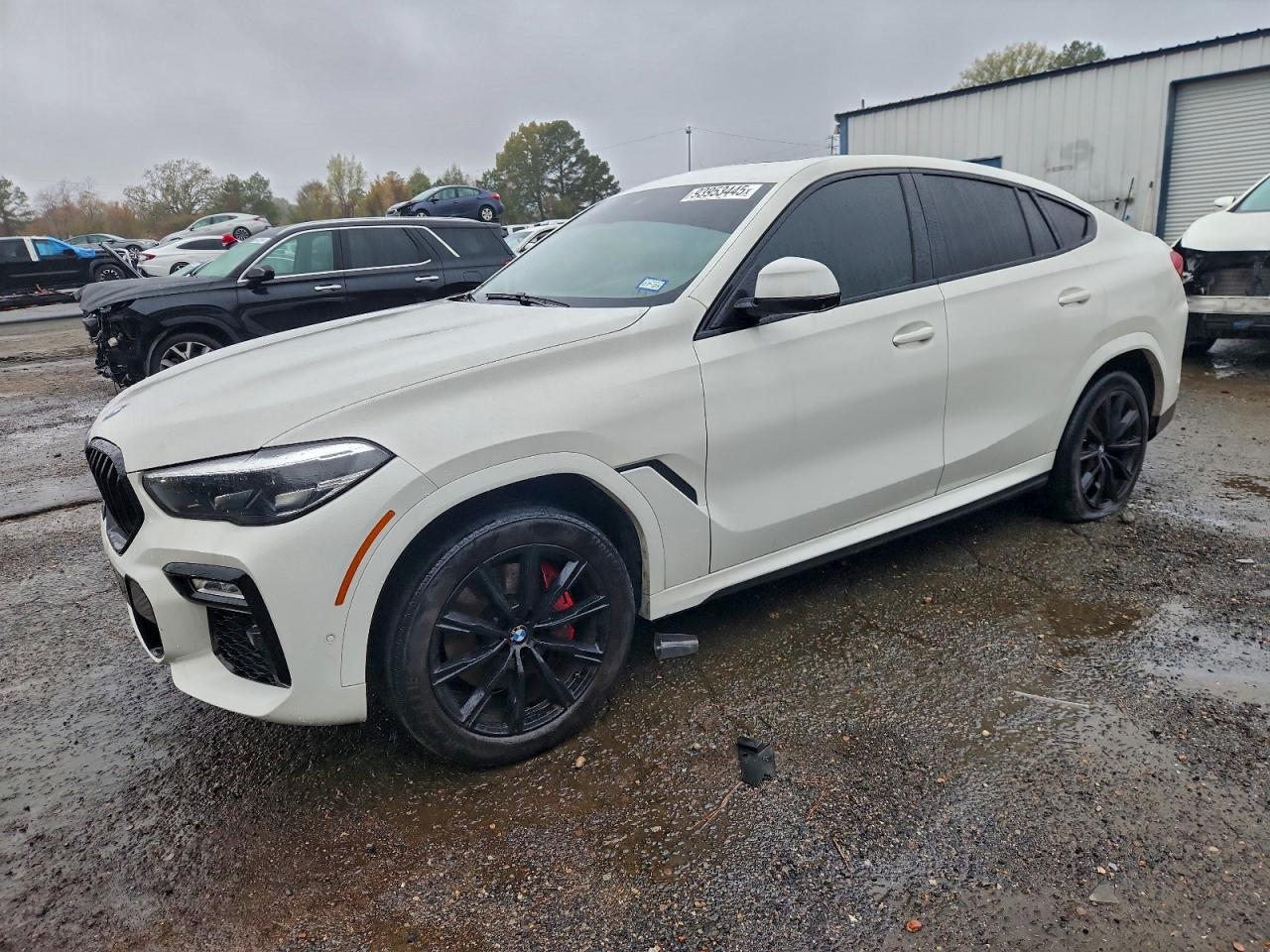 2021 BMW X6