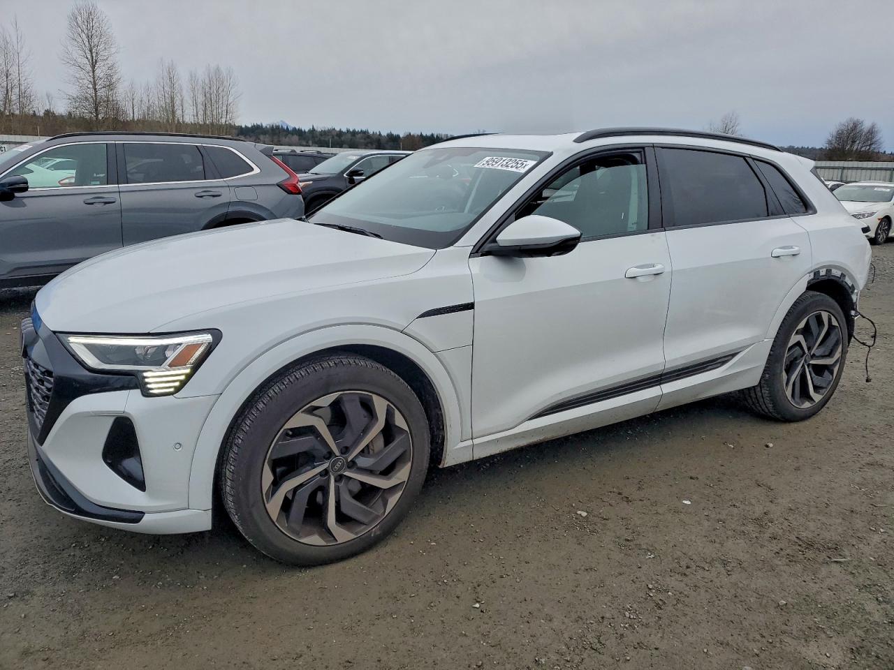 2024 Audi Q8