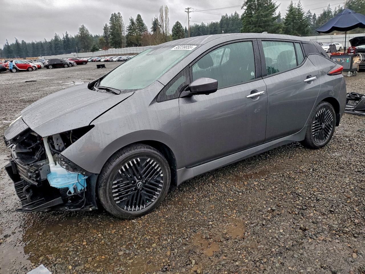 2025 Nissan Leaf