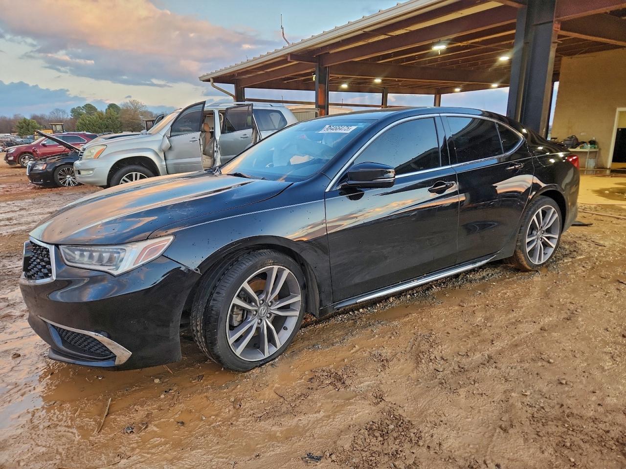 2019 Acura TLX